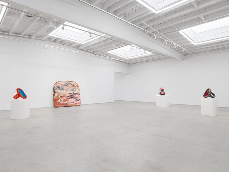 Installation view, Souvenir, Karma Gallery · 2025 (7)