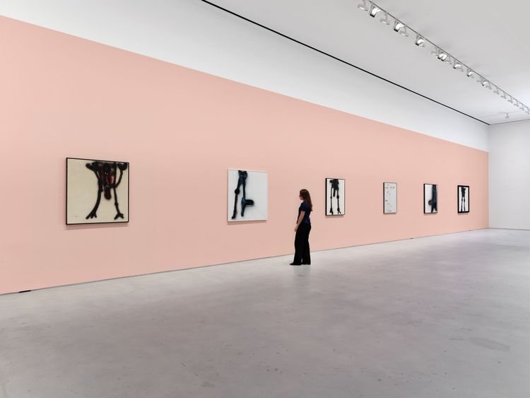 Installation view, I See You You See Me, Hauser & Wirth · 2026 (5)