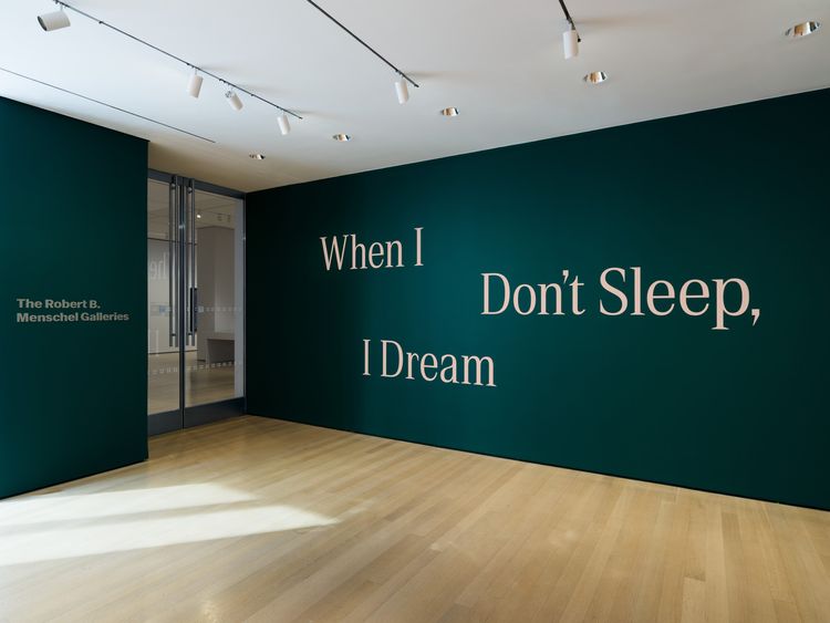 Installation view, When I Don’t Sleep, I Dream, MoMA · 2025 (10)