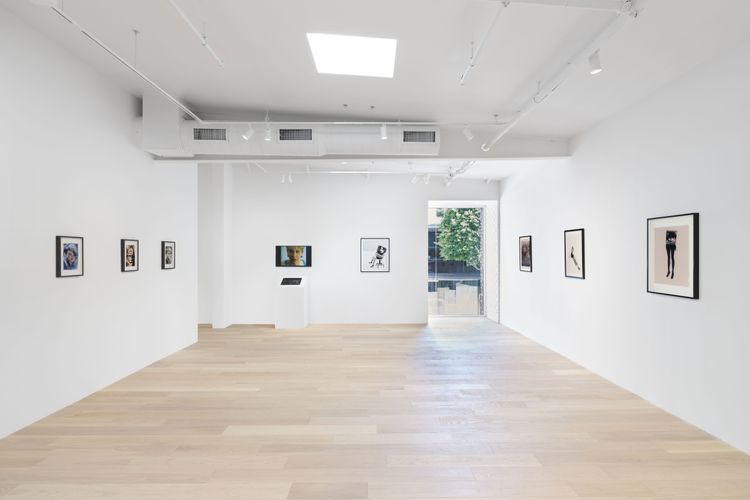 Installation view, Deep Fake, Hoffman Donahue · 2026 (9)