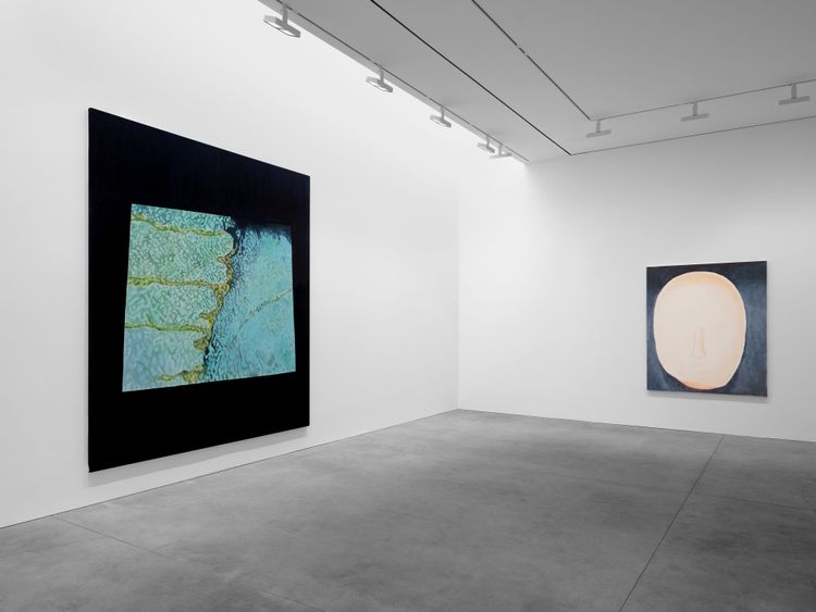 Installation view, The Fruit Basket, David Zwirner · 2026 (6)