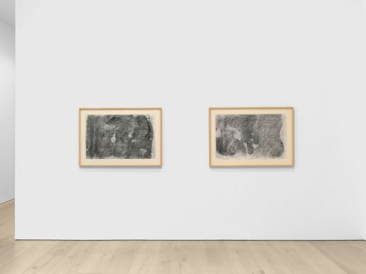 Installation view, Copy/Trace, David Zwirner, 537 West 20th Street · 2026 (4)