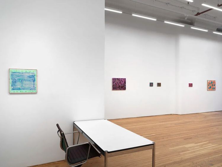 Installation view, Cosima zu Knyphausen: Gute Nacht, Sebastian Gladstone, New York · 2026 (3)