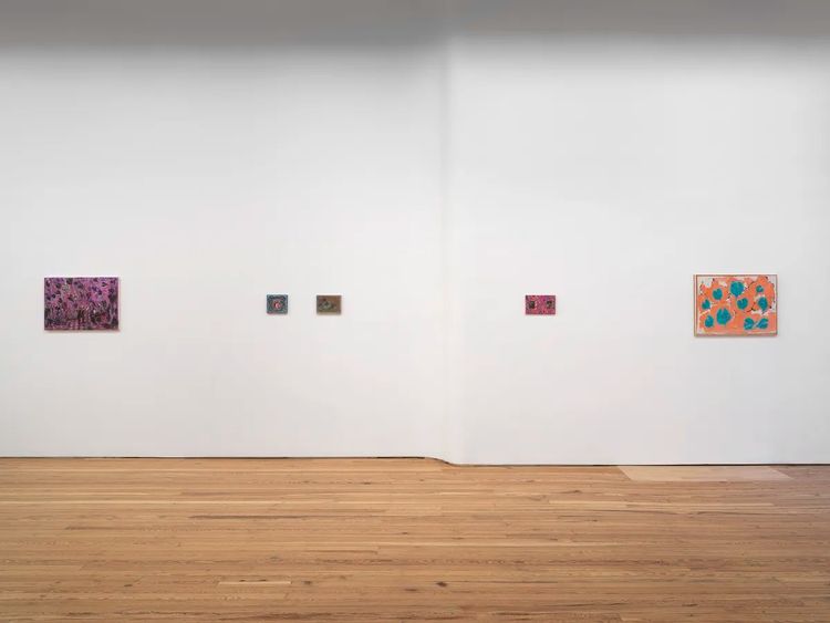 Installation view, Cosima zu Knyphausen: Gute Nacht, Sebastian Gladstone, New York · 2026 (4)