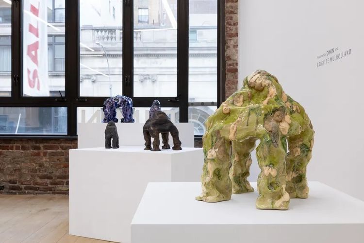 Installation view, Whims of Panspermia, DIMIN · 2026 (8)
