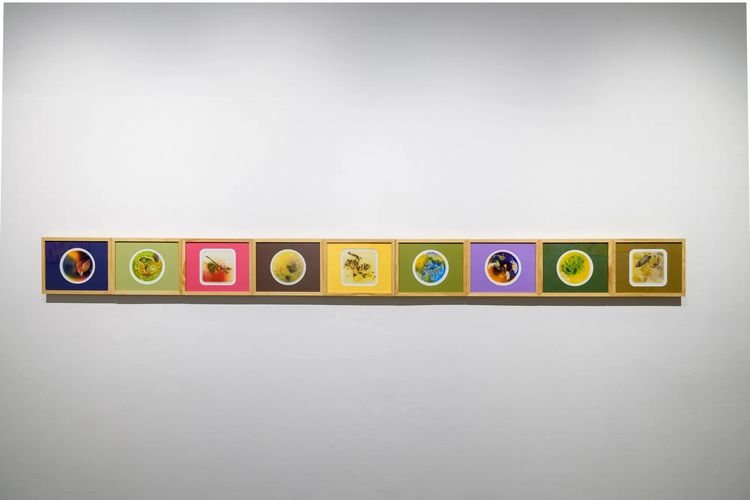 Installation view, Cellular Burden of Belonging, Trotter&Sholer