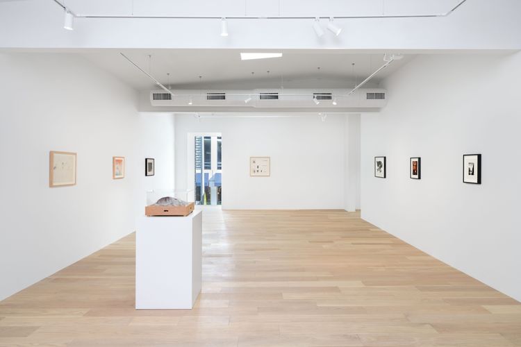 Installation view, Deep Fake, Hoffman Donahue · 2026 (7)