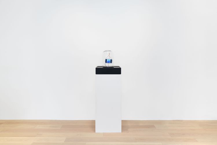 Installation view, Deep Fake, Hoffman Donahue · 2026 (1)