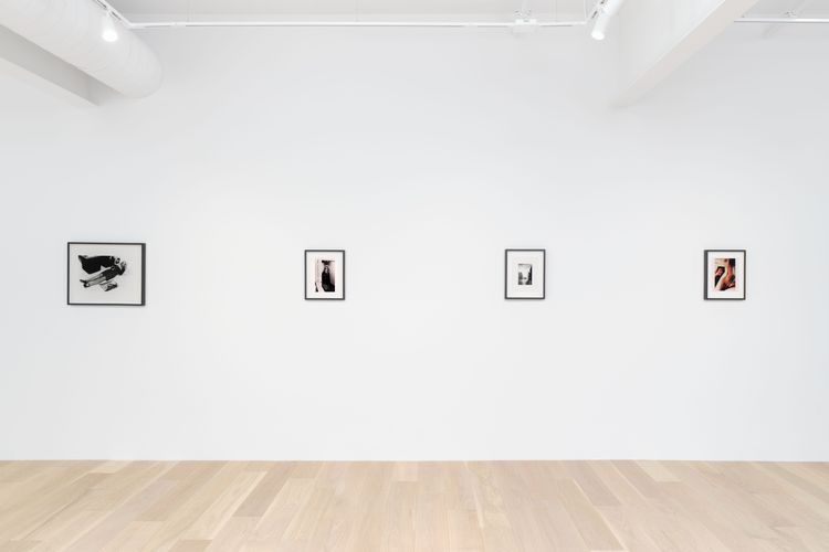 Installation view, Deep Fake, Hoffman Donahue · 2026 (2)
