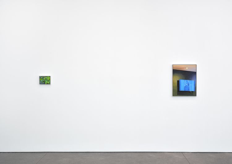 Installation view, Dike Blair, Karma, 549 West 26th Street · 2026 (9)