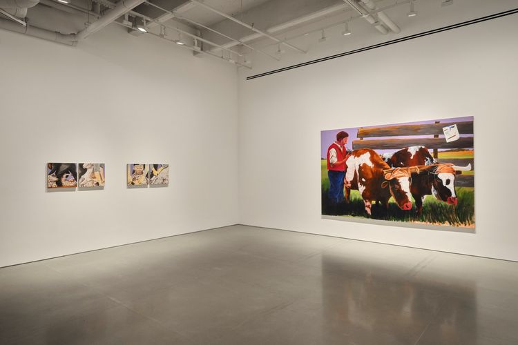 Installation view, ana segovia: the office of inter-american affairs presents, kurimanzutto