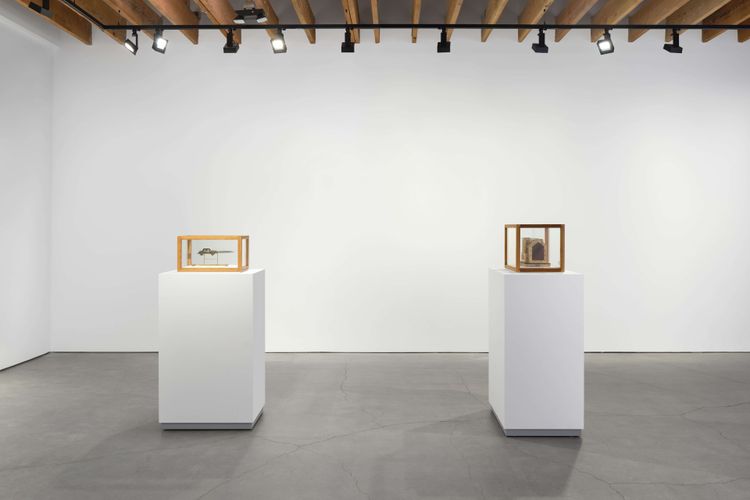 Installation view, Well, Fernberger Gallery · 2026 (7)