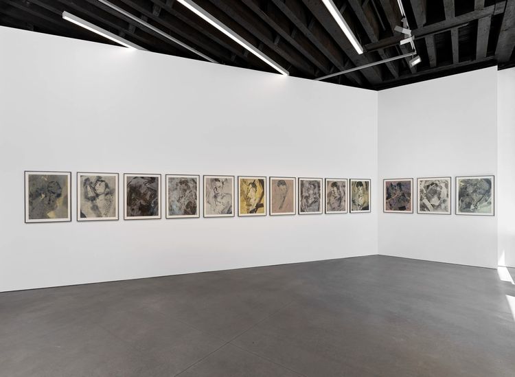 Installation view, On an Overgrown Path, Marian Goodman, New York · 2026 (18)