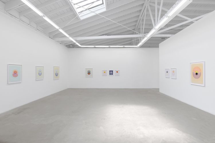 Installation view, The Drops, Luis De Jesus Los Angeles · 2026 (16)