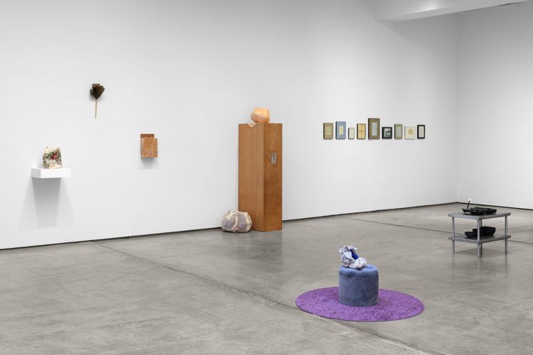 Installation view, Retrieval, Paula Cooper, 521 W 21st Street · 2025 (8)