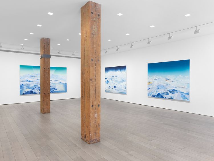 Installation view, Lost Horizon, Miles McEnery, 525 W 22nd Street · 2026 (2)