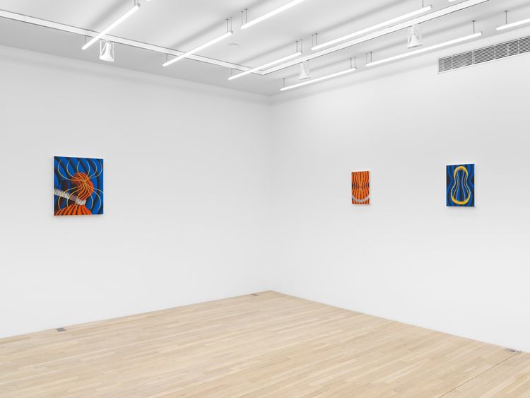 Installation view, Cauldron, Magenta Plains · 2026 (3)
