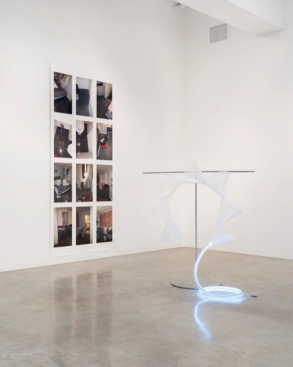 Installation view, Falling Water Given, Tanya Bonakdar Gallery, New York · 2026 (11)