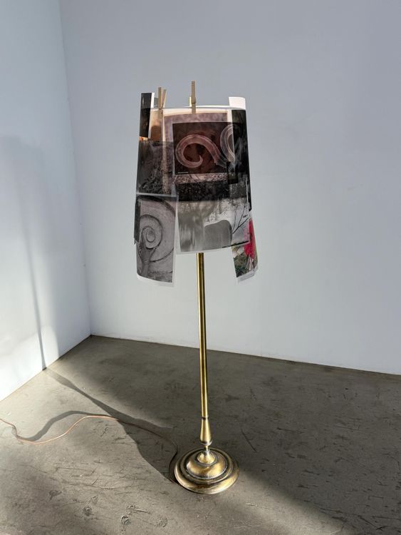 Installation view, Horse to Water, Murmurs Gallery