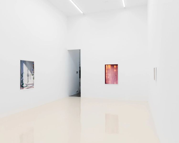 Installation view, I Capture the Castle, Chris Sharp · 2025 (1)