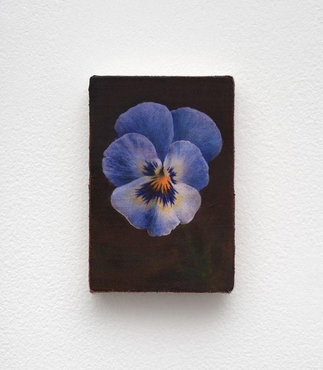 Installation view, Joseph Jones, Overduin & Co. · 2026 (21)