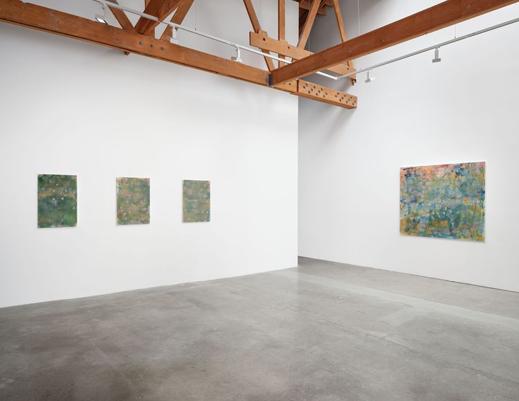 Installation view, Trevor Shimizu, Matthew Brown, Los Angeles · 2026 (2)