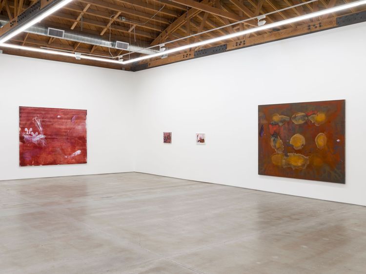 Installation view, Aragonite and conchiolin, Château Shatto · 2026 (7)