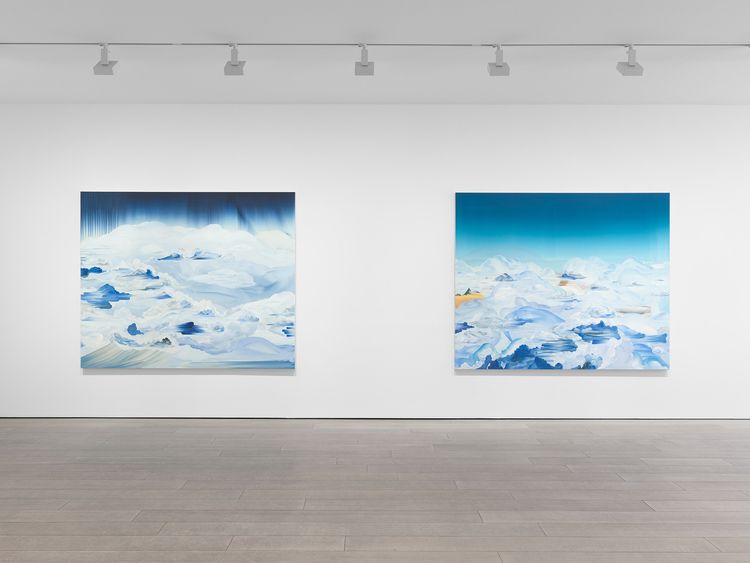 Installation view, Lost Horizon, Miles McEnery, 525 W 22nd Street · 2026 (5)