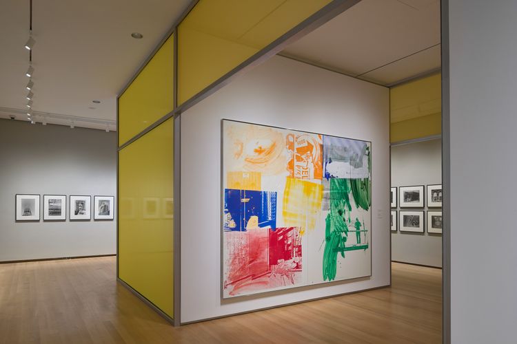 Installation view, Pictures from the Real World, Museum of the City of New York · 2025 (7)