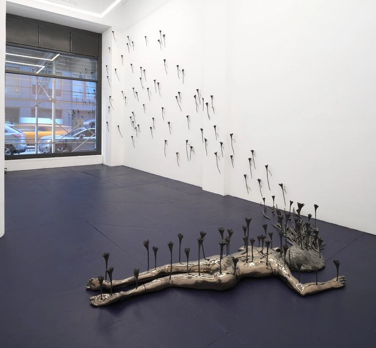Installation view, What Was Left of Me Bloomed , Silke Lindner · 2026 (4)