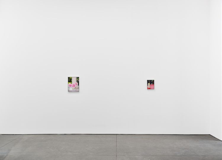 Installation view, Dike Blair, Karma, 549 West 26th Street · 2026 (5)