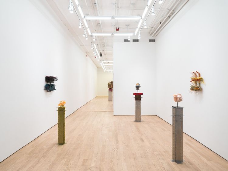 Installation view, Leech, Nicelle Beauchene · 2026 (1)