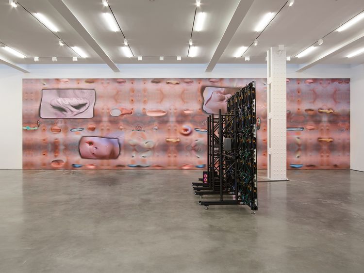 Installation view, emergence, Lisson, 504 W 24th Street · 2025 (5)