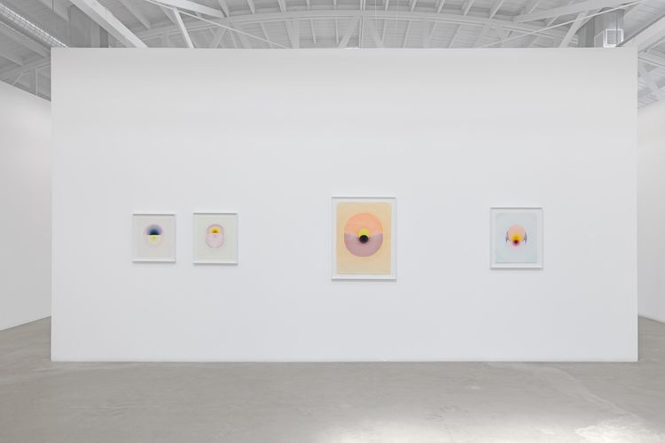 Installation view, The Drops, Luis De Jesus Los Angeles · 2026 (3)