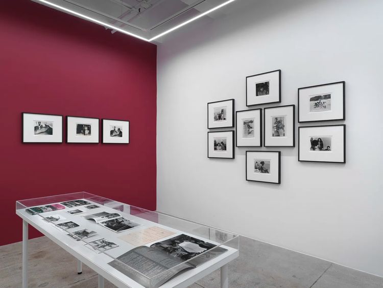 Installation view, ROGUE, Alison Bradley Projects · 2026 (3)
