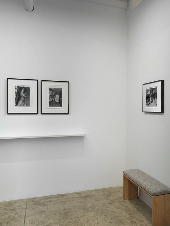 Installation view, ROGUE, Alison Bradley Projects · 2026 (5)