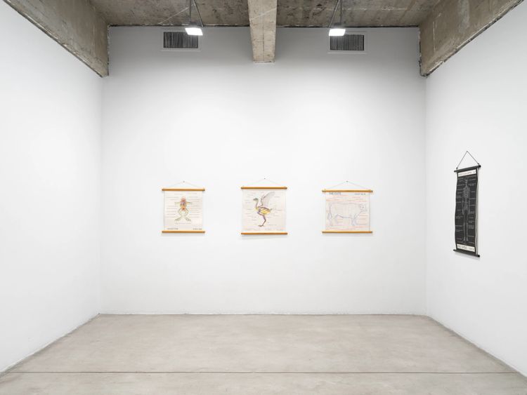 Installation view, Mark Dion, Tanya Bonakdar Gallery, New York · 2026 (4)
