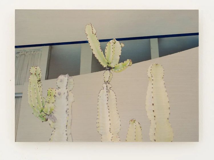 Installation view, My Days at Ray's, ROSEGALLERY · 2026 (8)