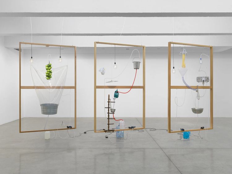 Installation view, Falling Water Given, Tanya Bonakdar Gallery, New York · 2026 (6)