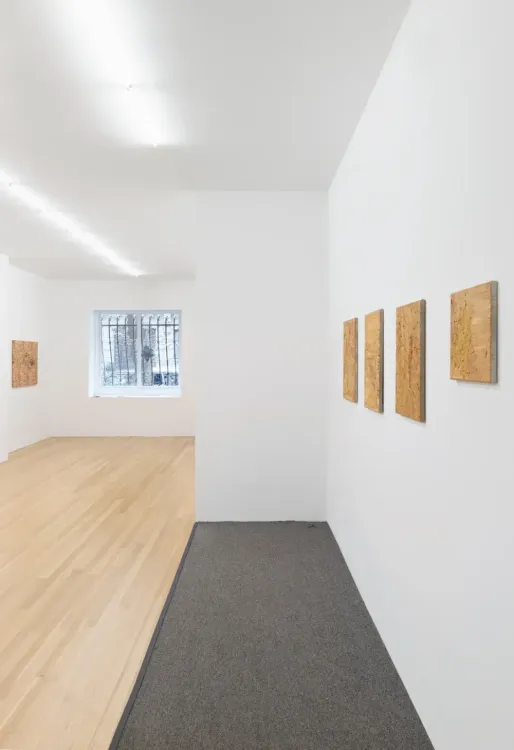 Installation view, Bottleneck, Galerie Buchholz · 2025 (13)