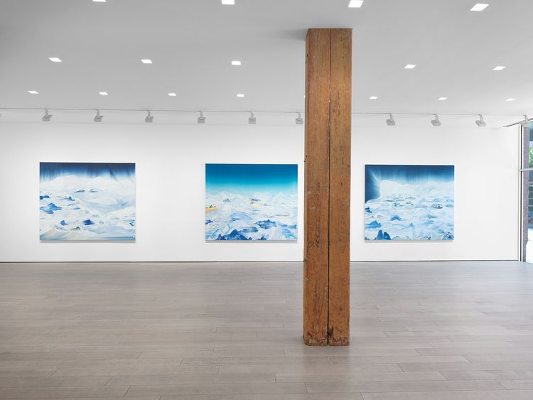 Installation view, Lost Horizon, Miles McEnery, 525 W 22nd Street · 2026 (3)