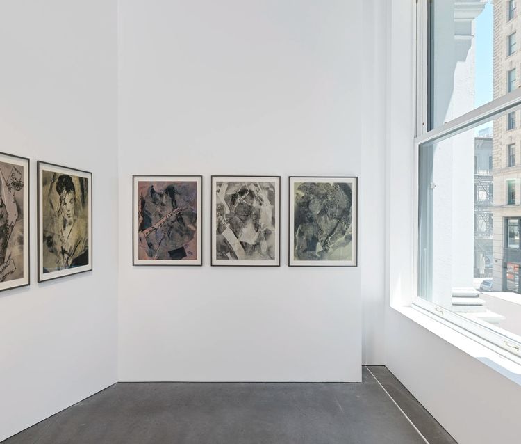 Installation view, On an Overgrown Path, Marian Goodman, New York · 2026 (13)