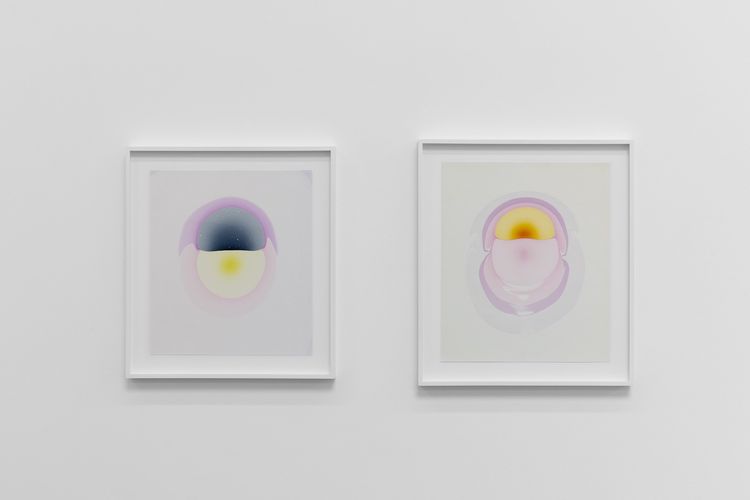 Installation view, The Drops, Luis De Jesus Los Angeles · 2026 (10)