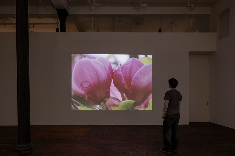 Installation view, Pygmalion Margaret Ursus Uan, Peter Freeman, Inc. · 2026 (9)