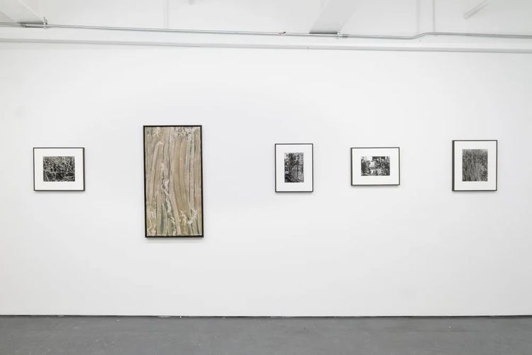 Installation view, Angle of Incidence, Transmitter
