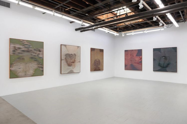 Installation view, Mineral Meridian, Carvalho, 112 Waterbury · 2026 (7)