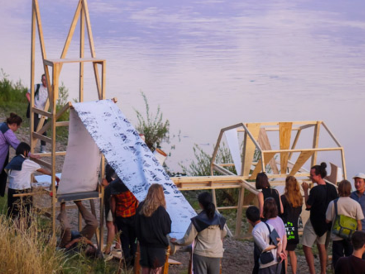 Installation view, Floating Forests, Marin Museum of Contemporary Art · 2027 (3)