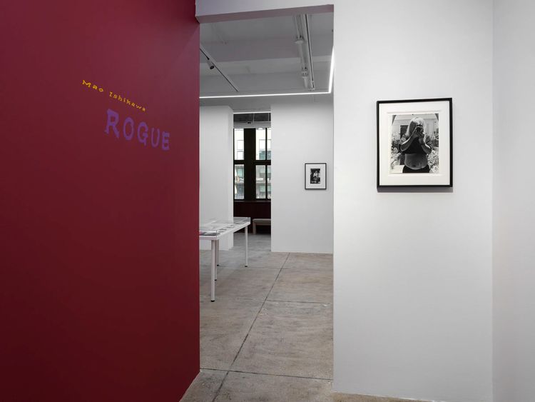 Installation view, ROGUE, Alison Bradley Projects · 2026 (9)