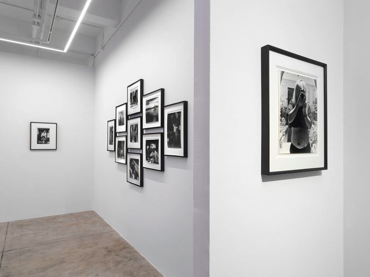 Installation view, ROGUE, Alison Bradley Projects · 2026 (10)