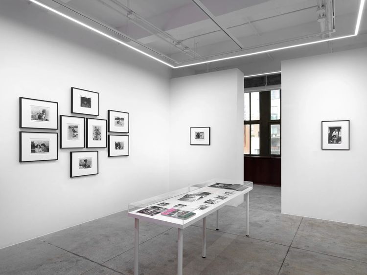 Installation view, ROGUE, Alison Bradley Projects · 2026 (1)